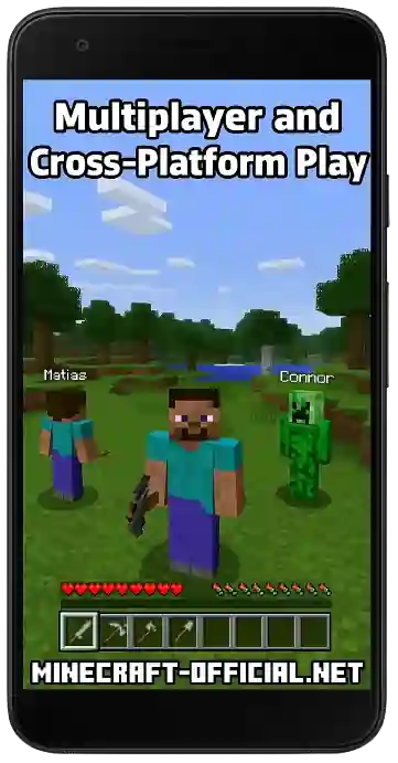 Multiplayer and Cross-Platform Play
